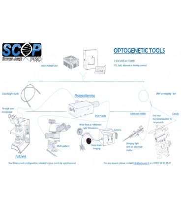 Optogenetic tools