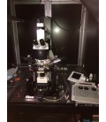 Confocal LEICA avec microscope DM6000