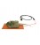 Couverture chauffante pour rat