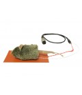 Couverture chauffante pour rat
