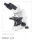 MOTIC Stellar Series