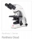 Motic Panthera L Series