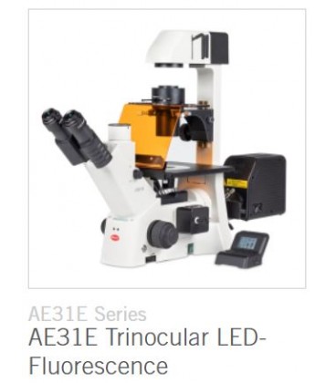 Motic AE31E Series