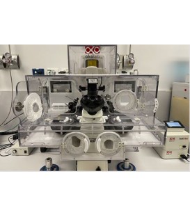 Chambre thermostatée ICSI pour microscope inversé PMA-FIV