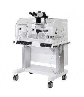 Station de travail SS-250