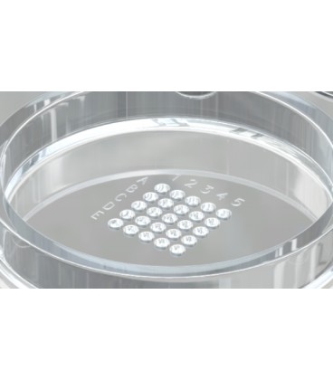 Embryogrid Dish