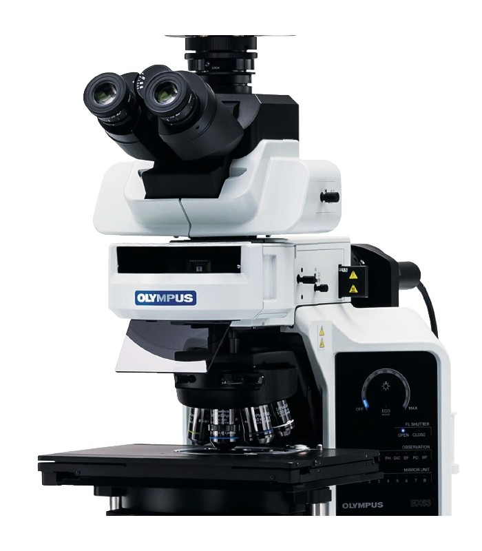 Olympus BX63/53