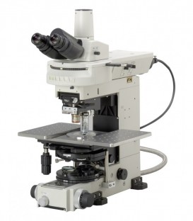 Microscopes Droits