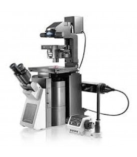 Microscopes Inversés