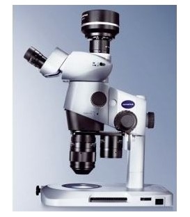 Stéréomicroscopes