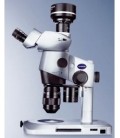 Stéréomicroscopes